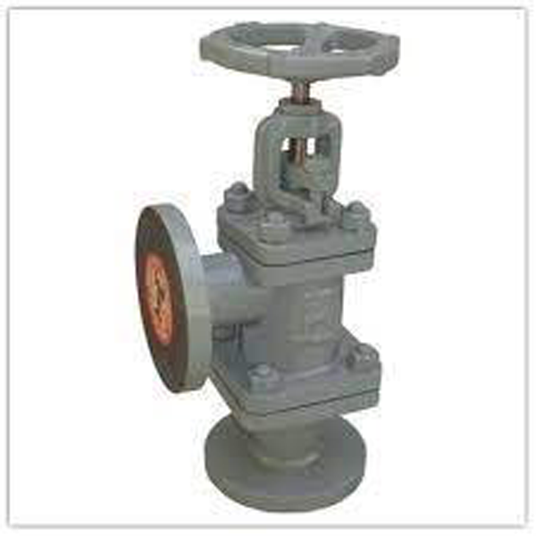 Feed Water Check Valve