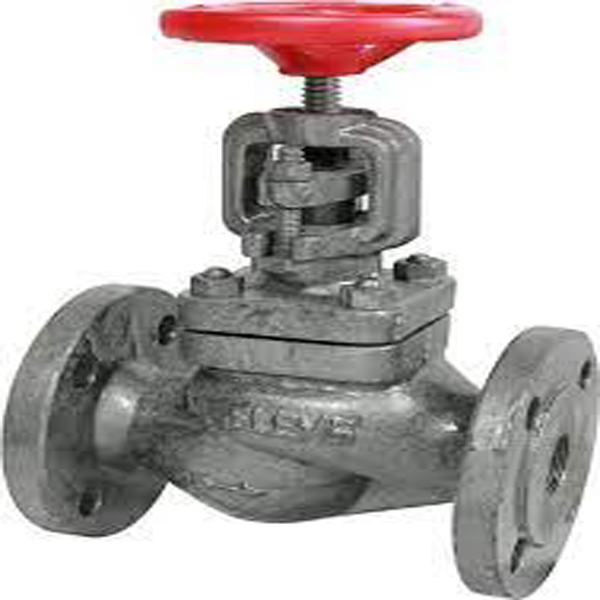 Main Steam Valve