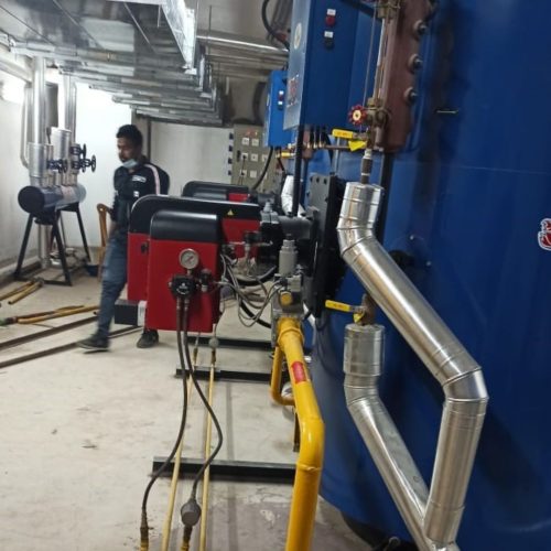 Evercare Hospitals Hurst Boiler Installation Area 8